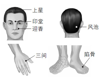鼻塞、打鼾等鼻子問題的防治